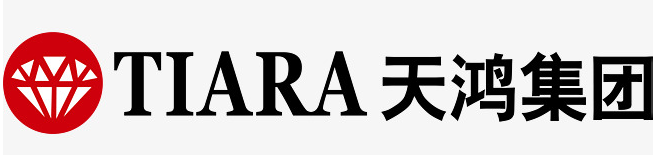 海南天鸿海岛房地产开发有限公司